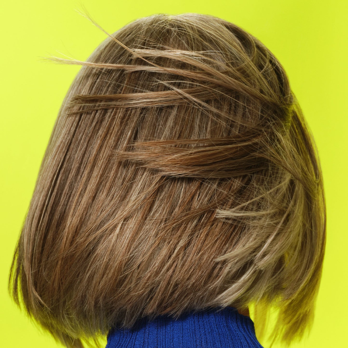 frizz-to-rizz-trio-l3 111725_Vicky_HumidityAntifrizz-Editorial_0538_w2QC_IGF_1x1_05a09617-4ccf-44a2-8545-199321a503e1.jpg