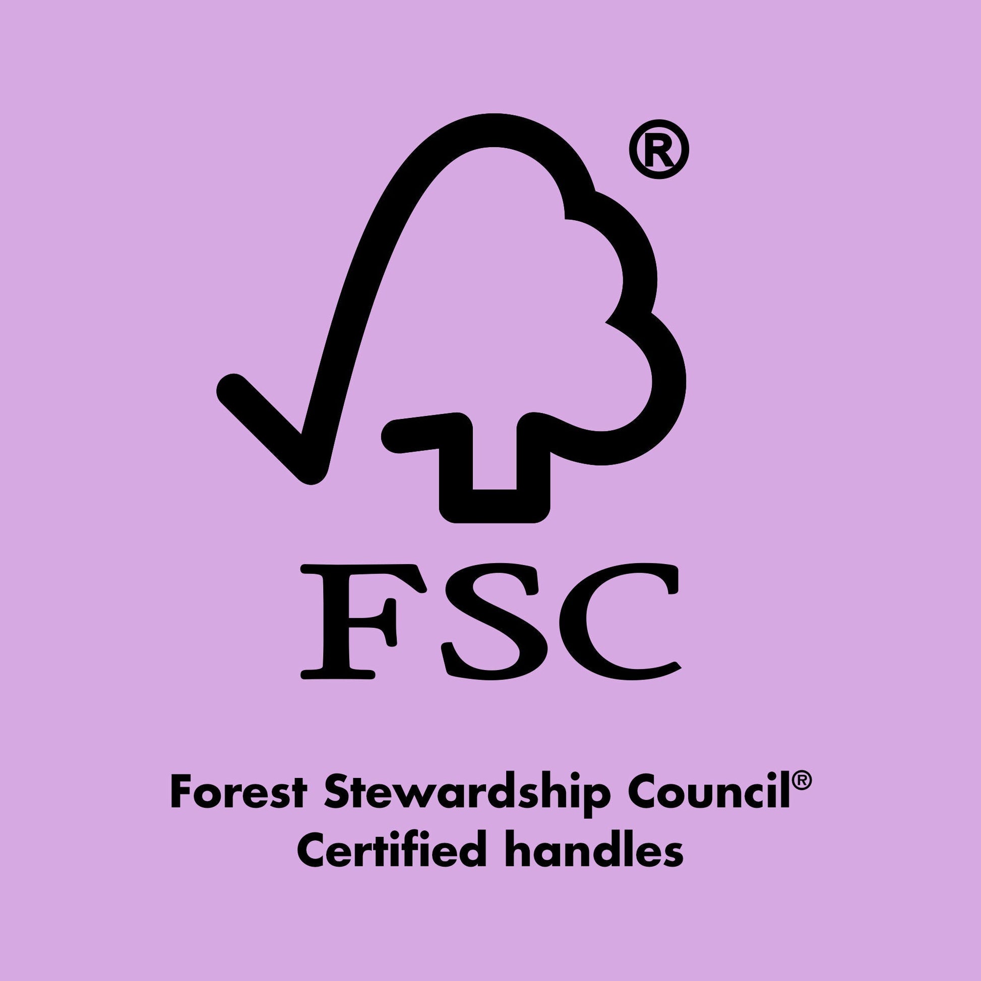 ten-out-of-ten-brush-kit-x8 0423_EDUCATION_FSC_EVERGREEN.jpg
