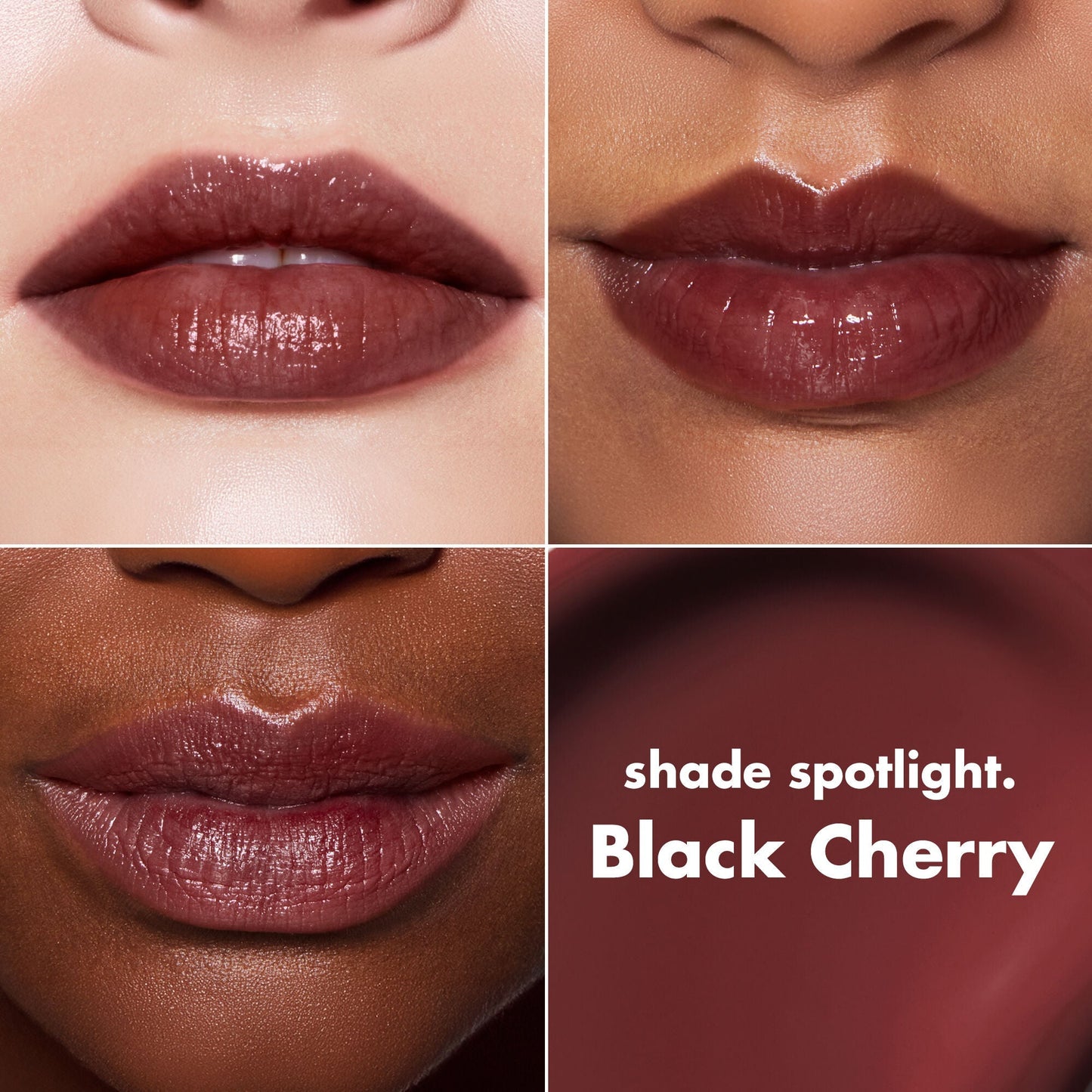 lip-lacquer-q7 0426_EDU_LipLaquer_ShadeChart_BlackCherry.jpg