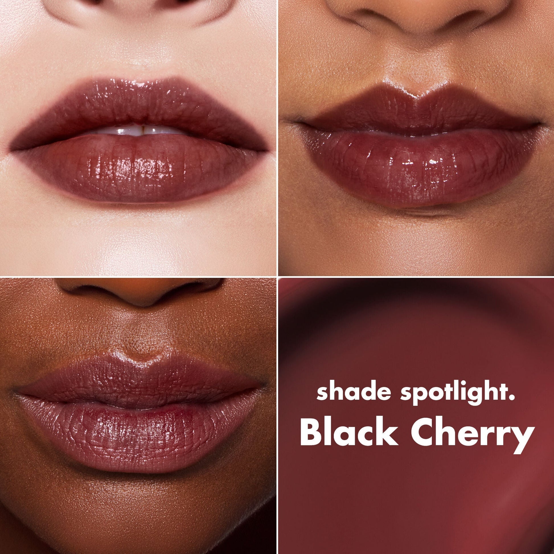 lip-lacquer-q7 0426_EDU_LipLaquer_ShadeChart_BlackCherry.jpg